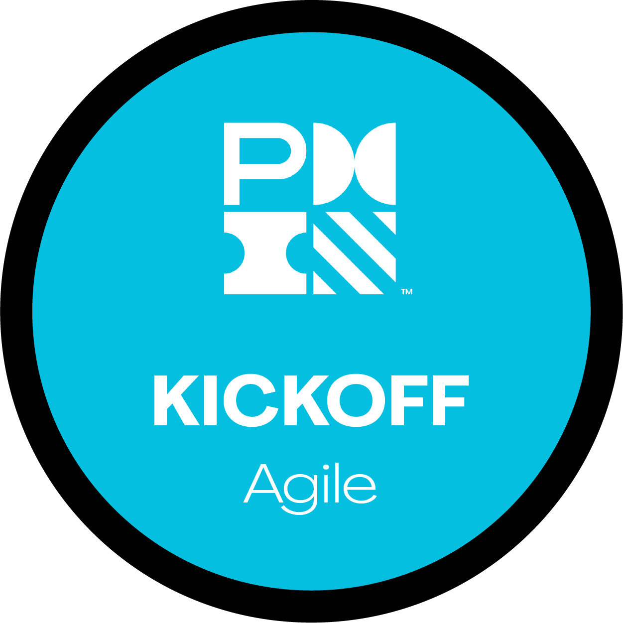 PMI Agile Kickoff